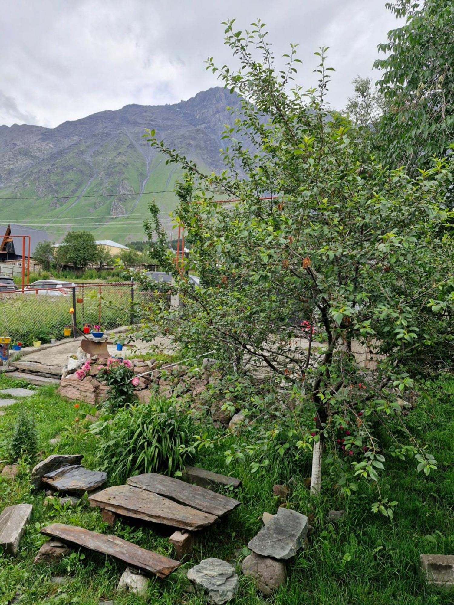 Maiko Guest House Kazbegi Eksteriør billede