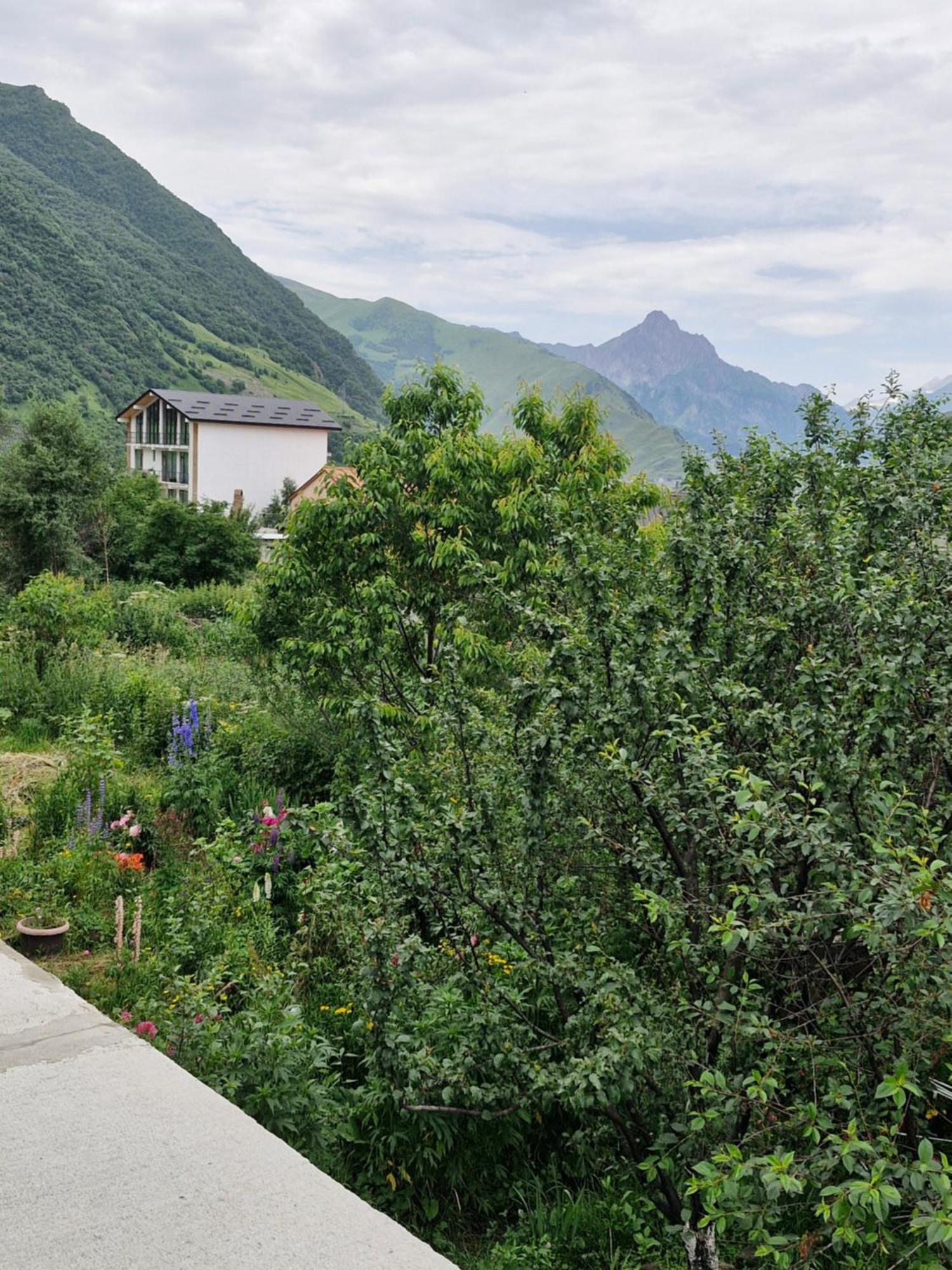 Maiko Guest House Kazbegi Eksteriør billede