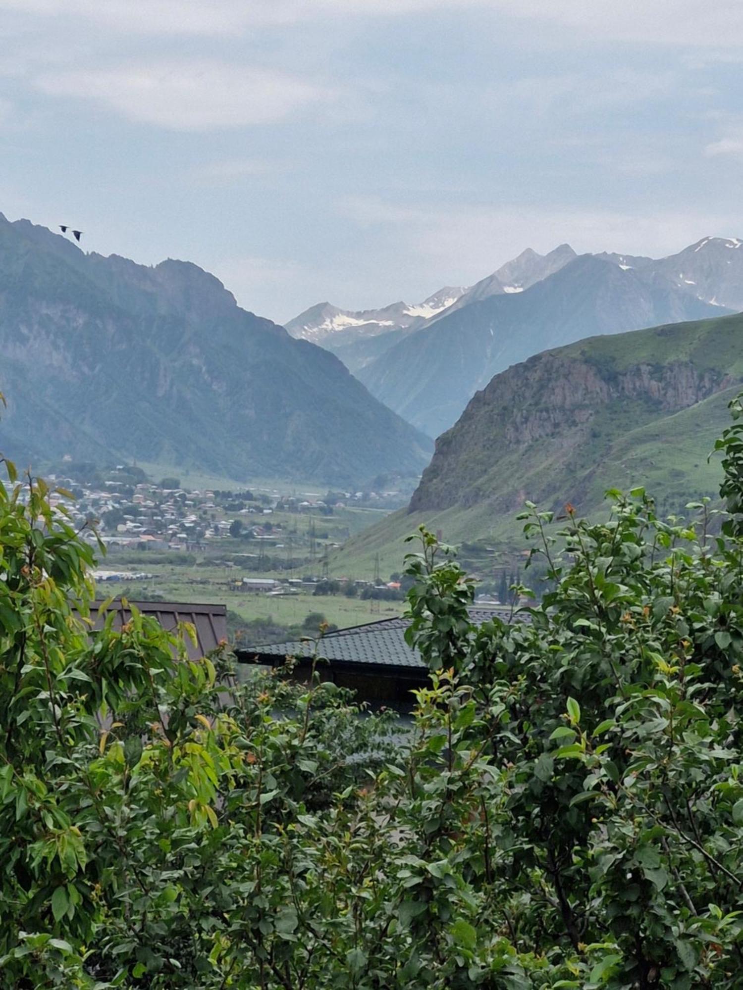 Maiko Guest House Kazbegi Eksteriør billede
